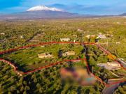 CODICE 4254 FABBRICATO RURALE 1059 MQ CON TERRENO 26.616...