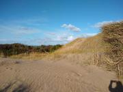 Codigo 1516 Lote en Cariló Playa e/Paraíso y Roble USD...