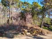Código 1605 Lote en Cariló Palo Santo e/ Tijereta y...