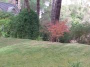 Codigo 1638 Lote en Cariló Urraca e/ Cerezo y Cedro USD...