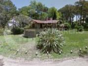 CODIGO 36 BECASINA Y ALAMO