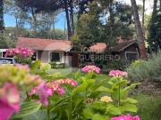 CODIGO REYEZUELO Y CAOBA