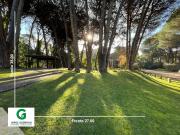 CODIGO URRACA E/ CAOBA Y ARAUCARIA