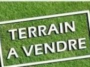 Coëx 85220 Achat / Vente terrain