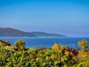 Coggia 20160 Achat / Vente maison 6 pièces t6