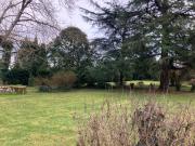 Cognac Vente Terrain 16