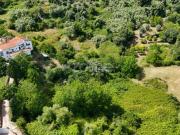 Coimbra Coimbra 100160237