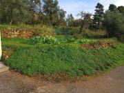 Coimbra Coimbra 3040 657 94936380