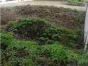 Coimbra Coimbra 87037080