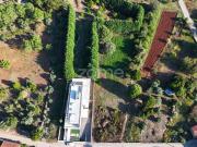 Coimbra Coimbra 87065817