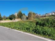 Coimbra Coimbra 91564417