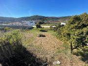 Coimbra Coimbra 97847664