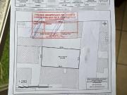 FLORES MAGON. PARA CASA O NEGOCIO FLORES MAGON. PARA CASA O NEGOCIO