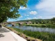 Coleville Woods Gannet, Clonmel, Tipperary P F Quirke &...