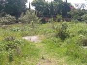 COLINAS DEL BOSQUE, TERRENO PLANO VENTA