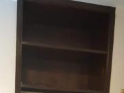 COLIVING MOEMA PÁSSAROS PONTO EUCALIPTUS