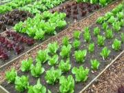 Colle di Val d´Elsa 2500mq