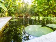 Collias 30210 Achat / Vente maison 5 pièces t5