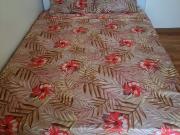 Collocations à stains