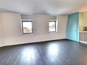 Colmar 68000 Achat / Vente appartement 4 pièces t4 au...