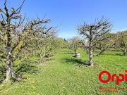 Colmar 68000 Achat / Vente terrain