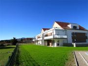 COLMAR/ Domaine des cépages