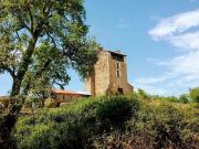 Colocation au Château Montegut