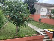 Colocation dans maison avec jardin