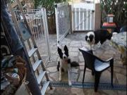 Colocation dans une maison