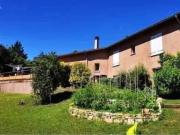 Colocation Dardiwood