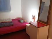 colocation de qualité envirronnement calme