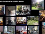 Colocation Premium 4 chambres 515 555 565 585 €