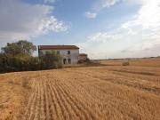 Colonica in vendita a Arnaccio Cascina 400 mq Rif: 1066638