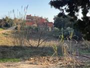 Colonica in vendita a Casciana Terme Lari 317 mq Rif:...