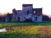 Colonica in vendita a Cascina 280 mq Rif: 4415 Colonica in vendita a Cascina 280 mq Rif: 4415