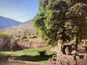 Colonica in vendita a Castelmaggiore Calci 452 mq Rif:...