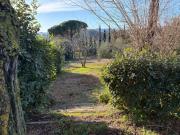 Colonica in vendita a Crespina Lorenzana 200 mq Rif: 1396219