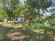 Colonica in vendita a Fauglia 325 mq Rif: 1156998
