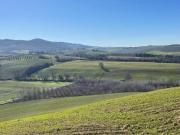 Colonica in vendita a Lajatico 900 mq Rif: 1290434