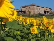 Colonica in vendita a Monteroni d'Arbia 480 mq Rif:...