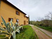 Colonica in vendita a Palaia in Ottimo composto da 10vani