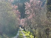 Colonica in vendita a San Casciano in Val di Pesa in...