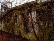 Columbia #,helena, Plot For Sale