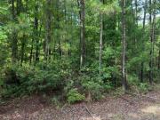 Columbia Rd #,magnolia, Plot For Sale