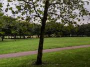 Colvin's Florist, 53 Burdett Road, London, E3 4TN,...