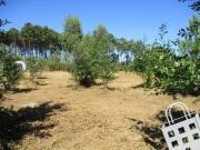 com 5.460m2, Viseu, Viseu