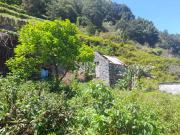 com palheiros na ribeira funda, Porto Moniz, Ribeira Funda