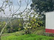 com poço legalizado e várias árvores de fruto, Loures,...