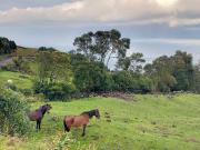 com possibilidade de construção até 4500m2, Lajes do Pico