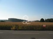 com possibilidade de construção, em Vila Nova Telha,... com possibilidade de construção, em Vila Nova Telha,...